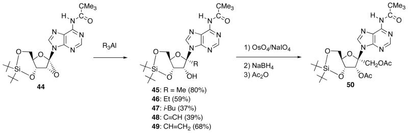 Scheme 16