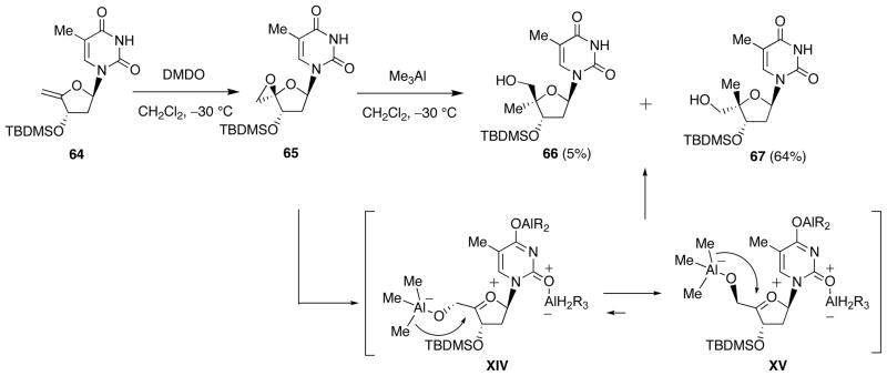 Scheme 22