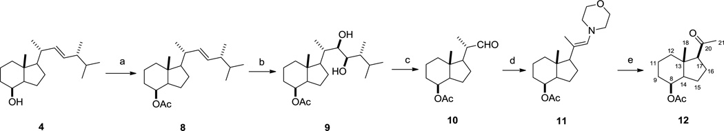 Scheme 3