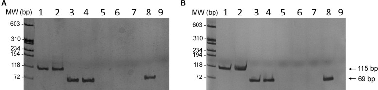 Fig. 3: