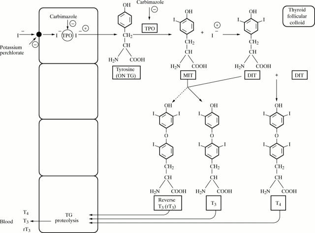 Figure 2  