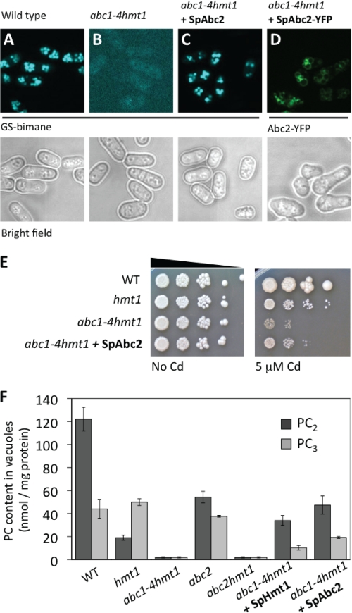 FIGURE 3.