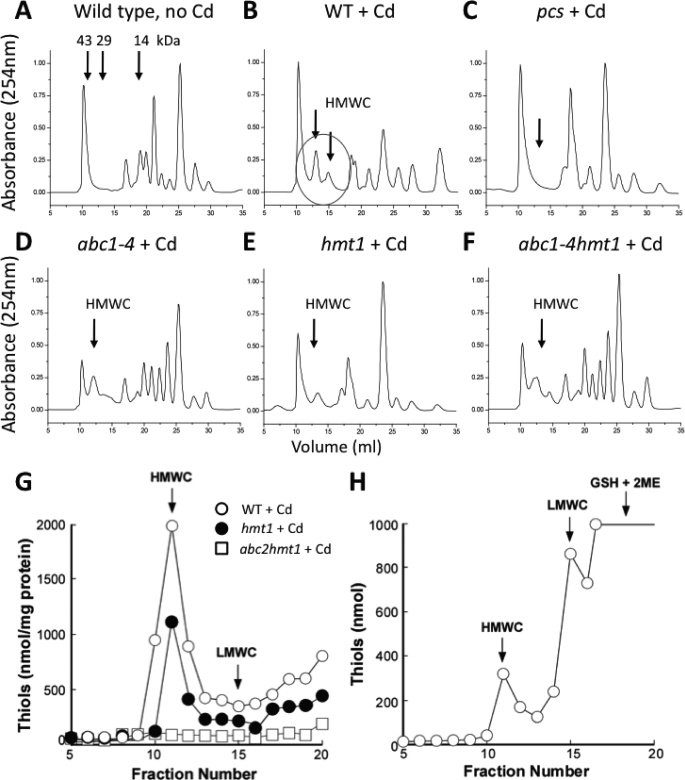 FIGURE 4.