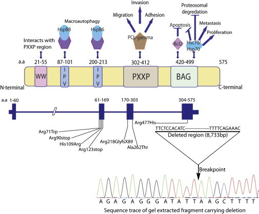 Figure 2