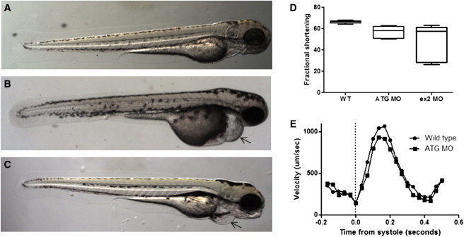 Figure 3