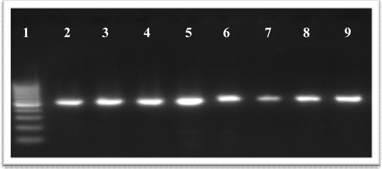 Fig. 1: