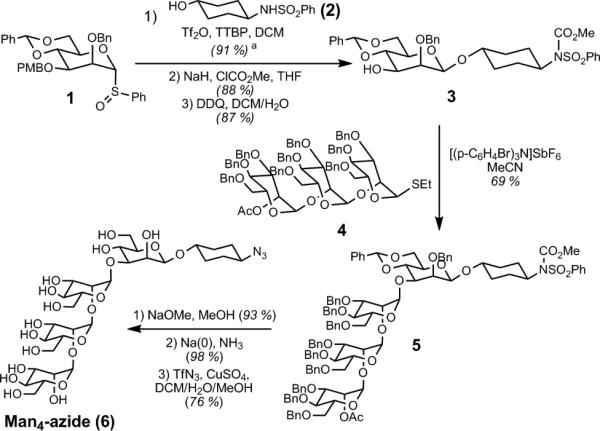 Scheme 2