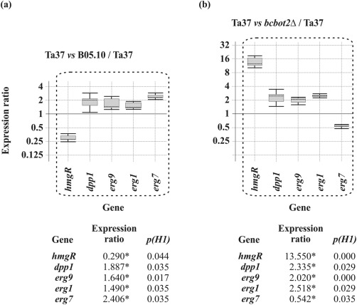 Figure 5