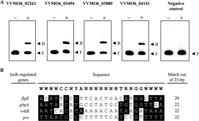 FIG 3