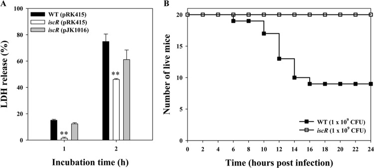 FIG 1