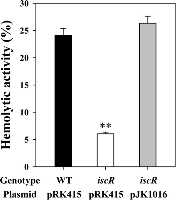 FIG 6