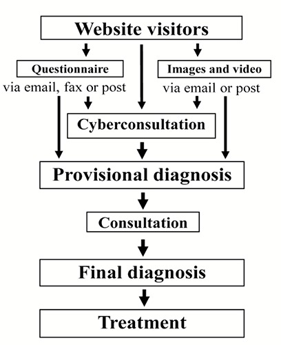 Figure 1.