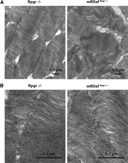 Figure 10.