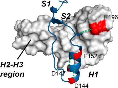 FIGURE 9.