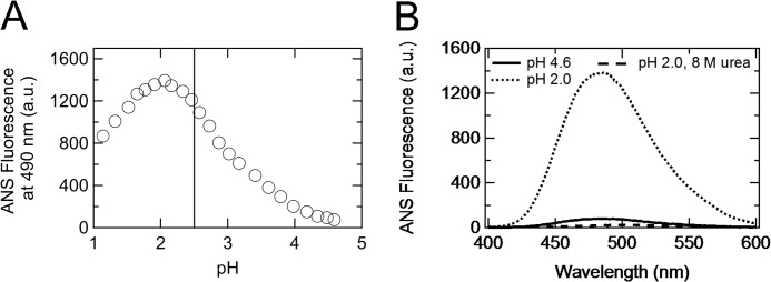 FIGURE 2.