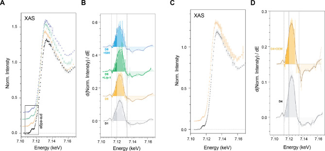 Figure 4—figure supplement 2.