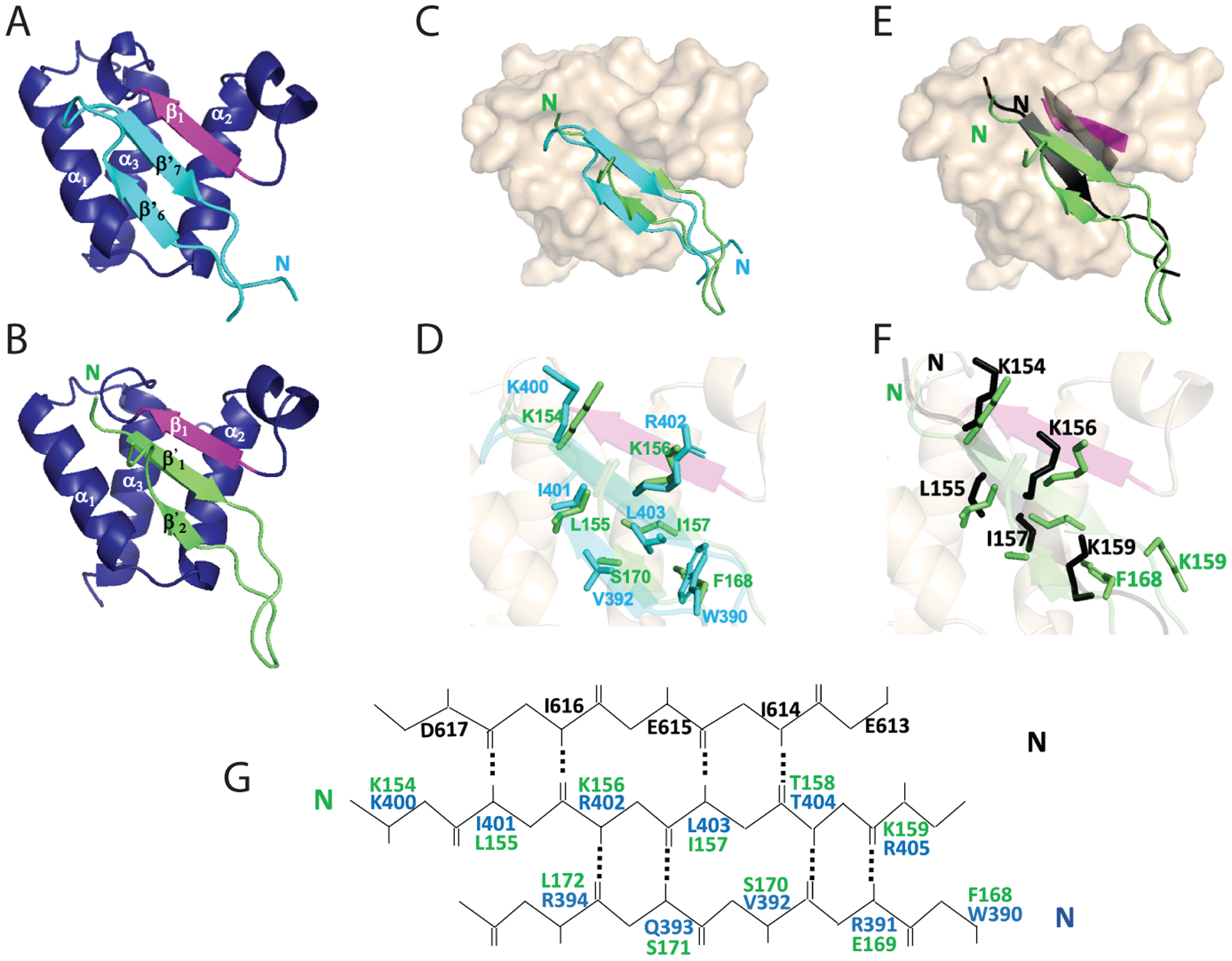 Fig. 7.