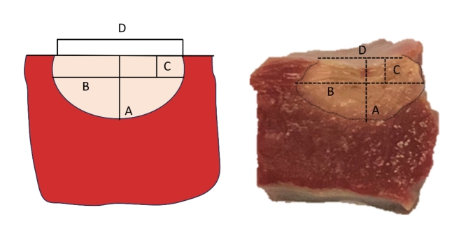 Fig. 2