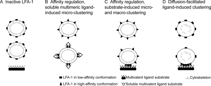 Figure 9.