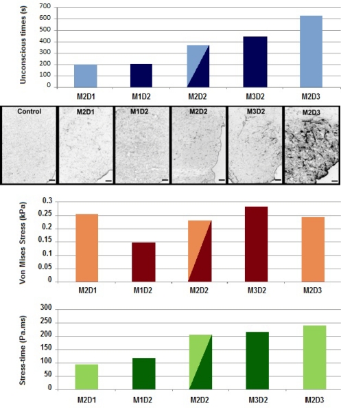 Figure 6: