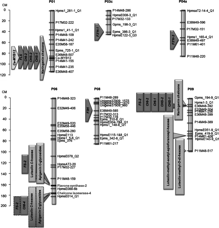 Fig. 5