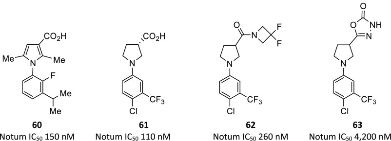 Figure 19