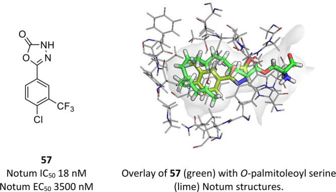 Figure 16