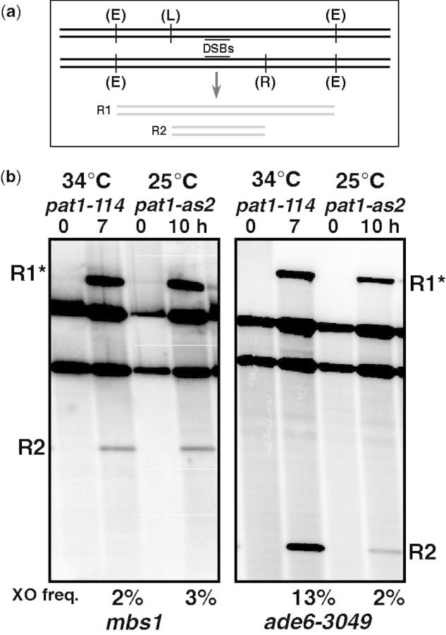 Figure 6.