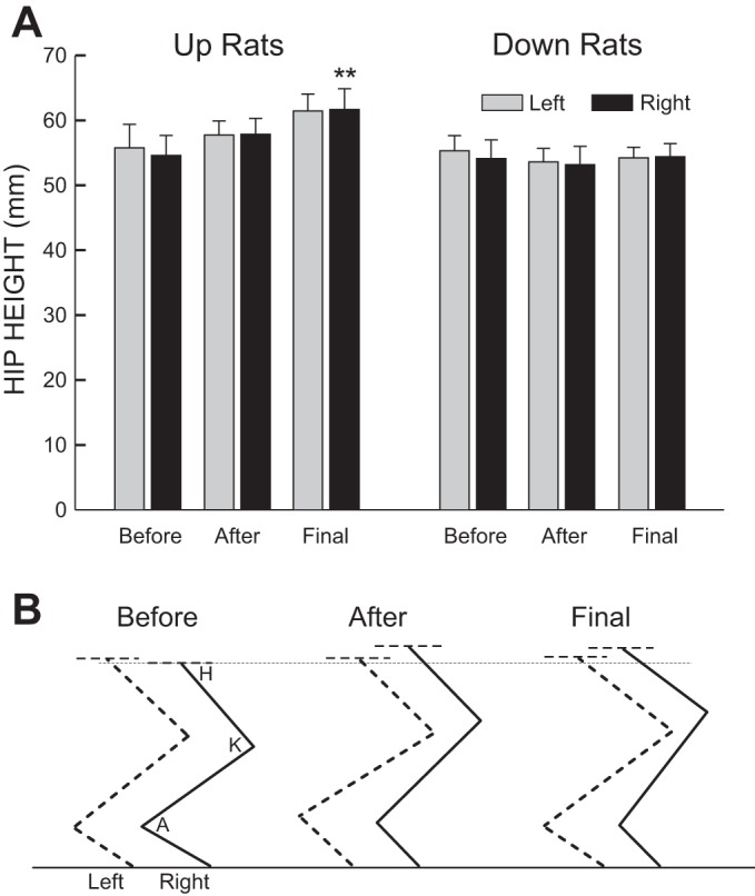 Fig. 3.