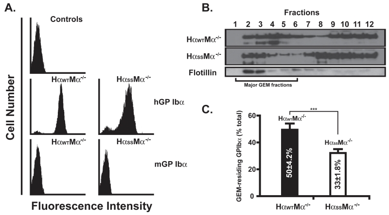 FIGURE1