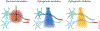 Figure 2 |