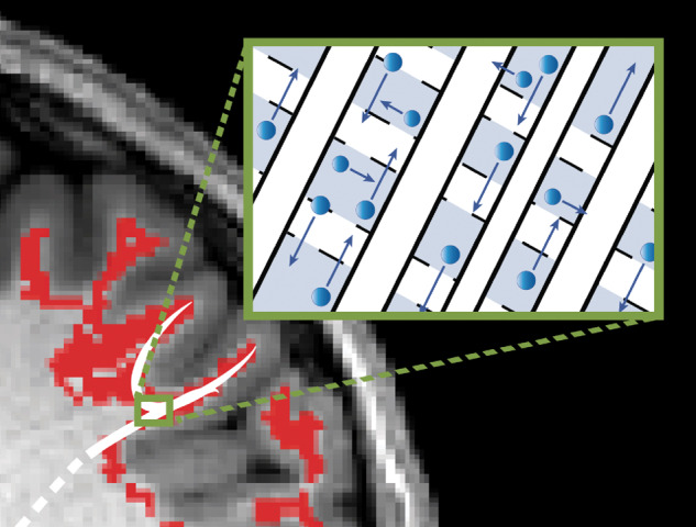 Graphical Abstract