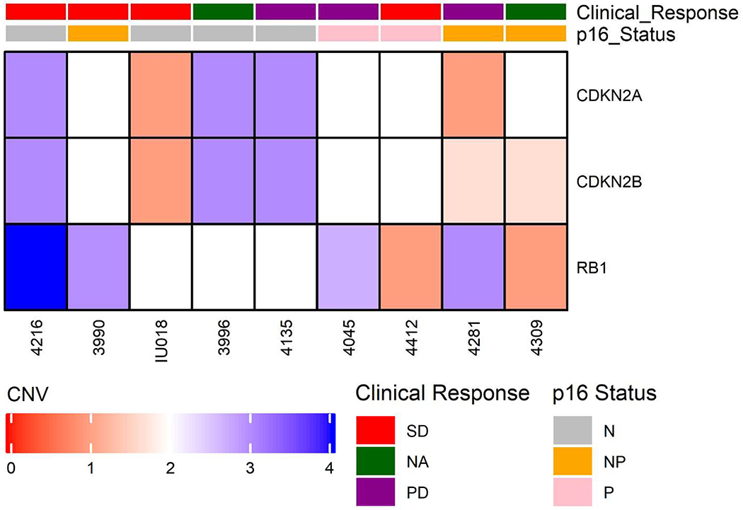 Fig. 4: