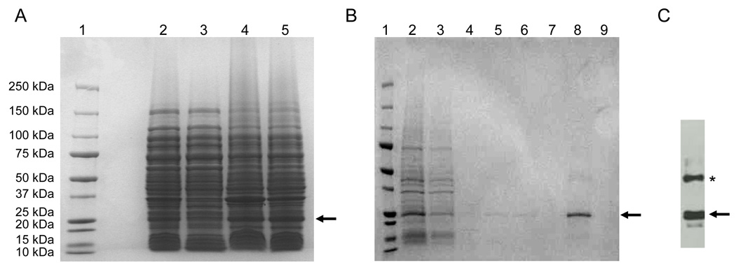 Fig. 5