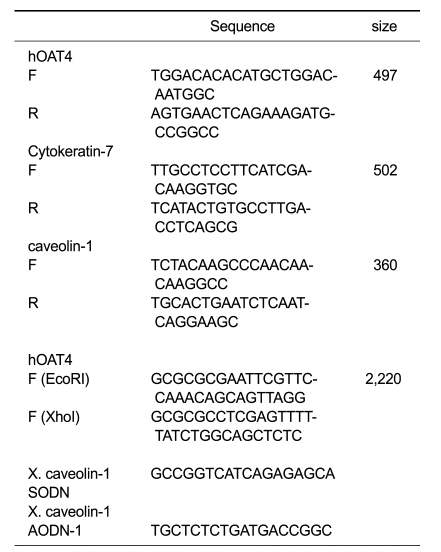 graphic file with name emm-40-505-i001.jpg