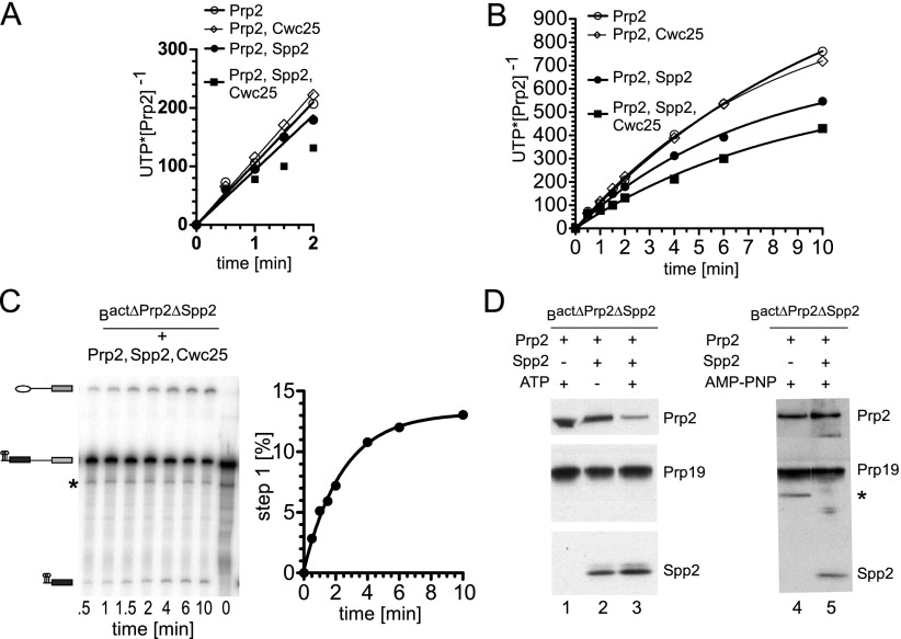 Figure 4.