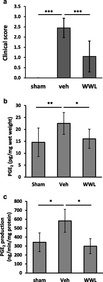 Fig. 11