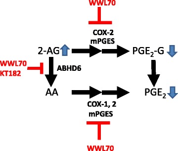 Fig. 12