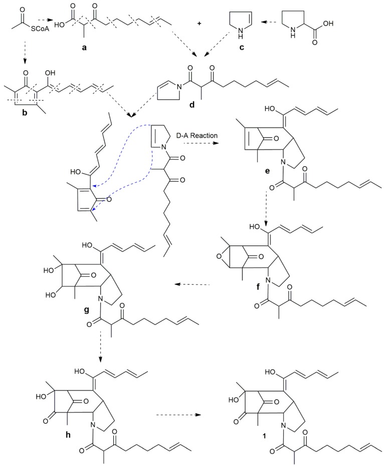 Scheme 1