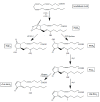 Fig. (2)