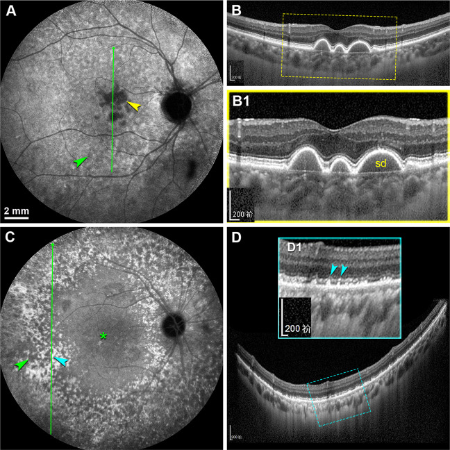 Fig. 7