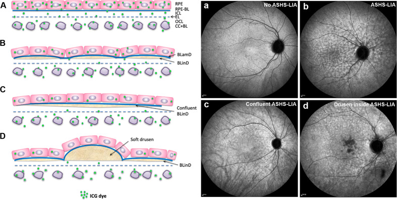 Fig. 9