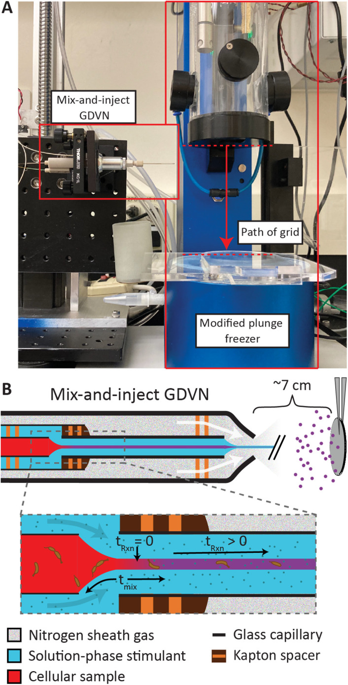 FIGURE 1: