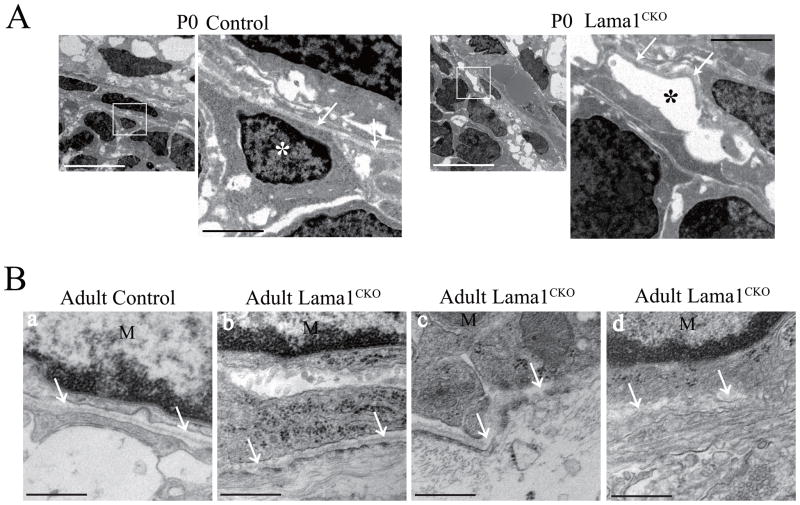 Fig. 9