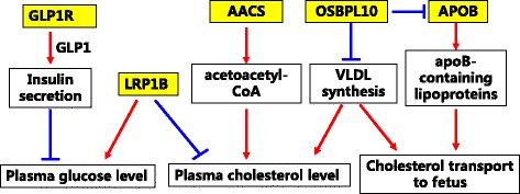 Fig. 3