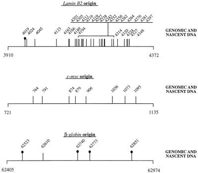 FIG. 7