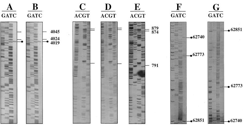 FIG. 6