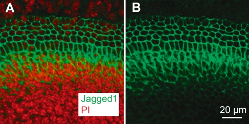 FIG. 10.