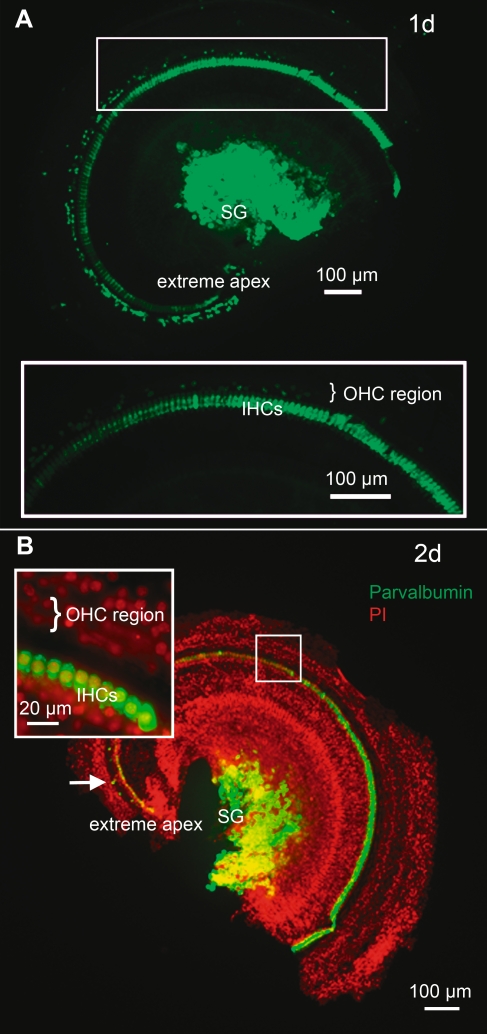 FIG. 4.