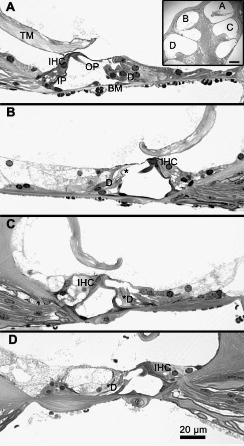 FIG. 3.